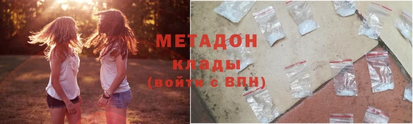 индика Козельск