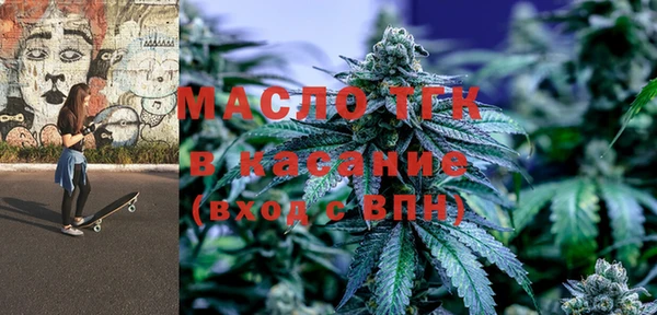 индика Фёдоровский