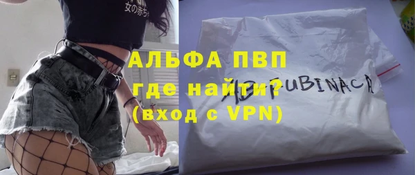 ПСИЛОЦИБИНОВЫЕ ГРИБЫ Козловка
