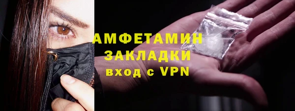 индика Фёдоровский