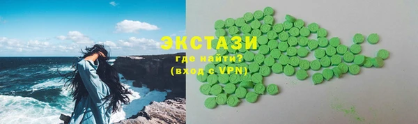 индика Козельск