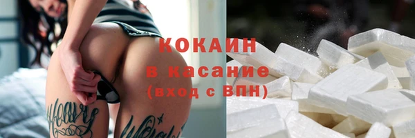 индика Козельск