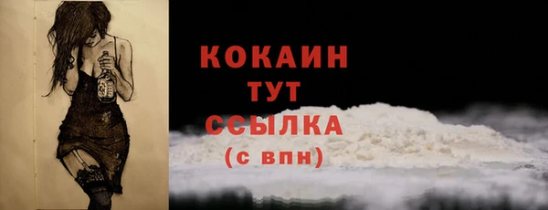 индика Фёдоровский