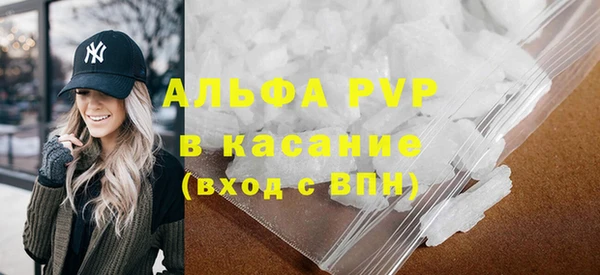 индика Фёдоровский