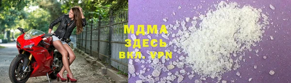 индика Козельск