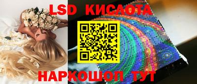прущие грибы Ирбит