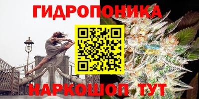 марки nbome Гай